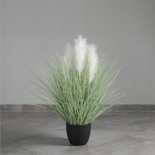 芈阳仿真蒲苇草大型盆景 芦苇蒲草水烛装饰绿植橱窗陈列