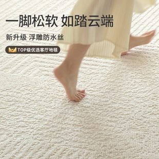 地毯客厅奶油风硅藻丝免洗可擦沙发防水地垫轻奢高级感卧室床边毯