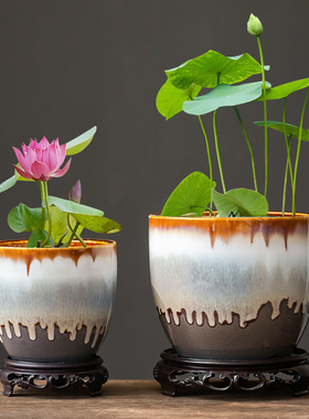 碗莲专用水培花盆家用大小号水养睡莲绿植缸圆形陶瓷桌面无孔器皿