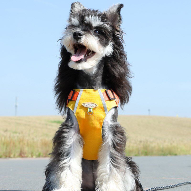 夏天小型犬狗狗牵引绳背心式泰迪比熊雪纳瑞胸背带宠物狗链遛狗绳
