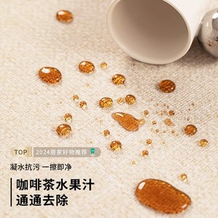 卧室奶油风纯色防水免打理免洗S可擦沙发茶几地 地毯客厅2024新款