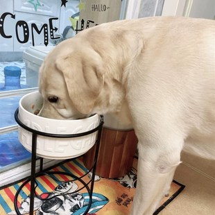 狗盆狗碗猫d碗大型犬狗碗宠物陶瓷A水盆防打翻狗食盆碗架护颈狗饭