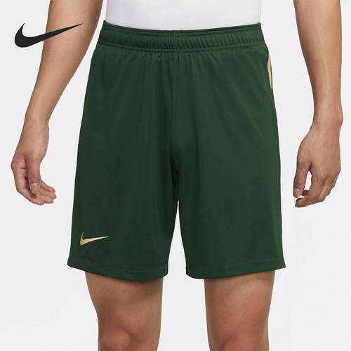 Nike/耐克官方正品北京国安主场球迷版短裤新款男短裤DB5788-377
