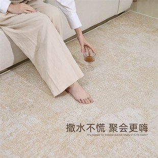 免洗可擦轻奢家用卧室床前防水隔音沙发茶几地垫 地毯客厅2025新款