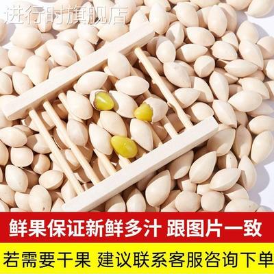 特级白果新鲜大果2024年银杏果非干货1kg生白果送食谱带壳白果