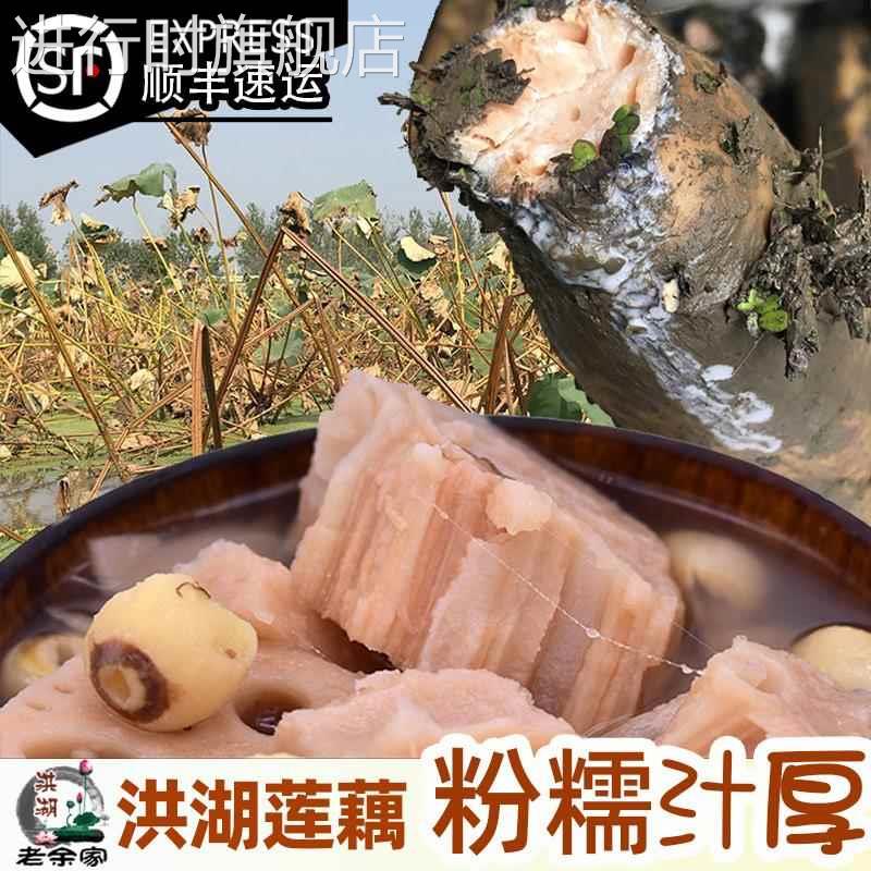 老余家洪湖莲藕新鲜粉糯现挖湖北特产武汉九孔红粉藕带泥发顺丰
