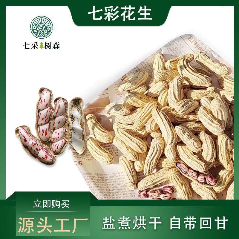 七彩花生云南新货花生米甘甜香脆带壳坚果五彩零食厂家现货