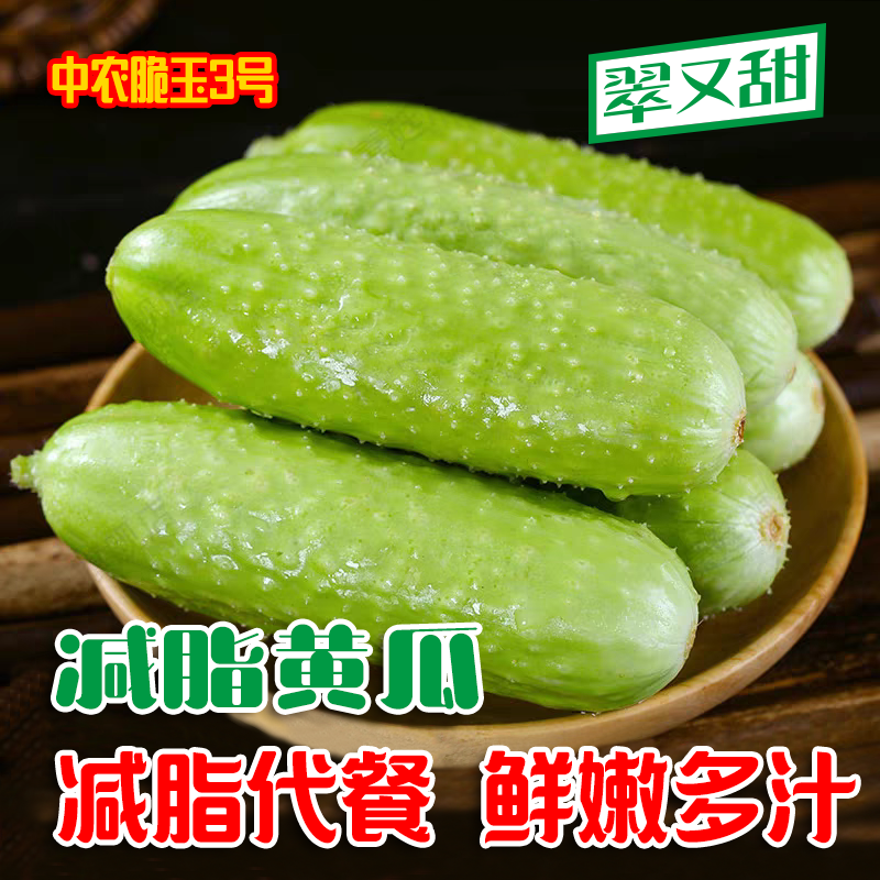 中农脆玉3号正宗水果黄瓜新鲜小黄瓜减脂黄瓜玉女黄瓜白玉清甜