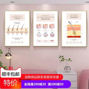 美容院皮肤管理结构图装饰画面部保养头疗养护墙壁画护肤养生挂画