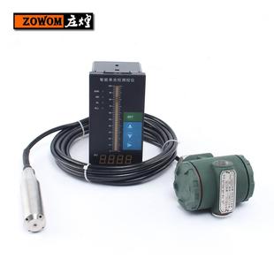 投入式液位变送器 液位感测器 控制仪静压液位计水位感测器4-20MA
