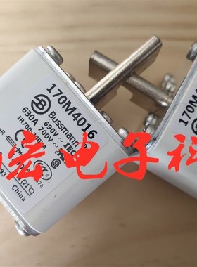 原装 高压熔断器170M4016 低压熔断器 保险丝熔断器 拍咨询