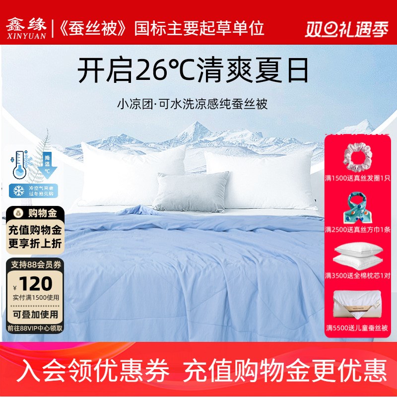 鑫缘丝绸凉感可水洗蚕丝被夏凉被子被芯夏被空调被100%蚕丝小凉团