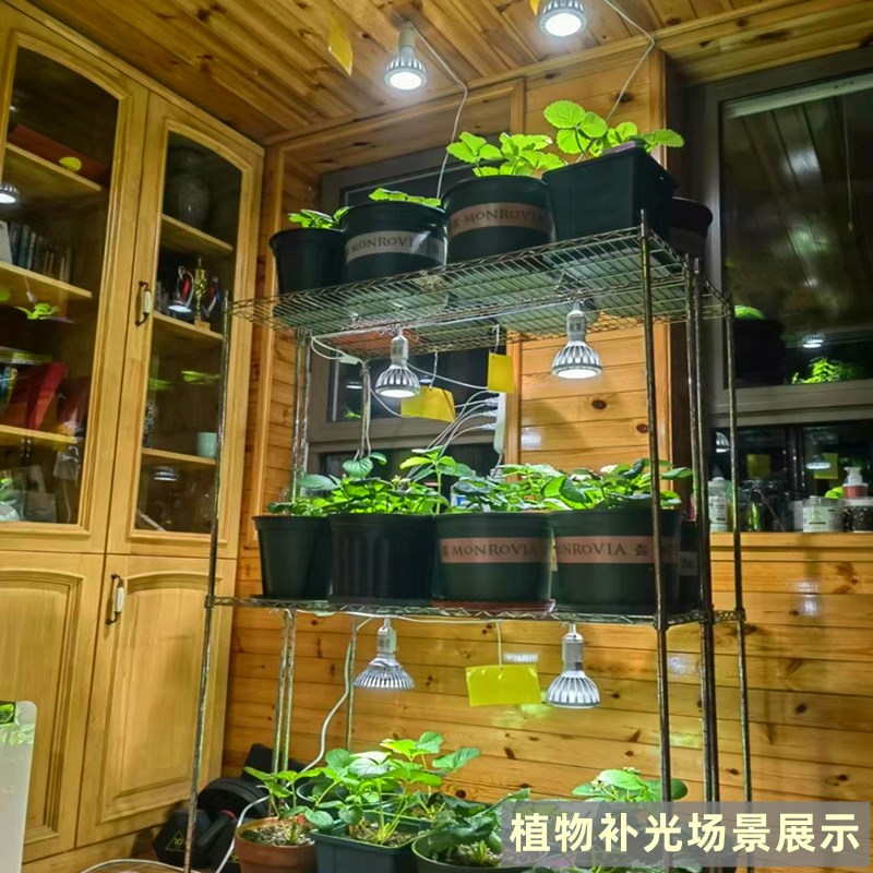 全光谱植物补光灯 led家用室内花卉绿植雨淋缸仿太阳光照生长灯泡
