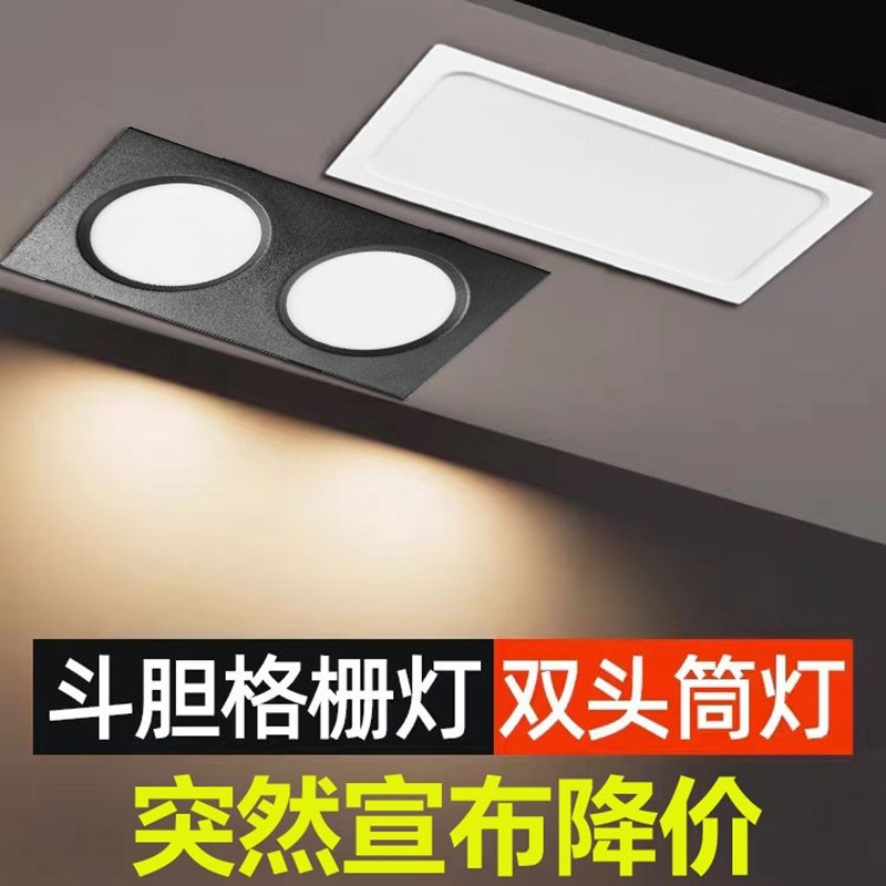 方形筒灯嵌入式双头筒灯LED格栅射灯单头斗胆灯网格吊顶专用10*20