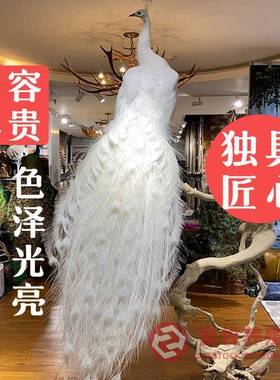 定制客厅动物蓝孔雀工艺品摆件开屏白孔雀标本模具孔雀羽毛扇饰品