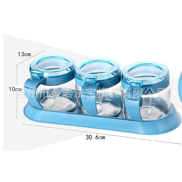 厨房用品调料罐调味瓶有盖带勺调料盒塑料模具厂家专业制作