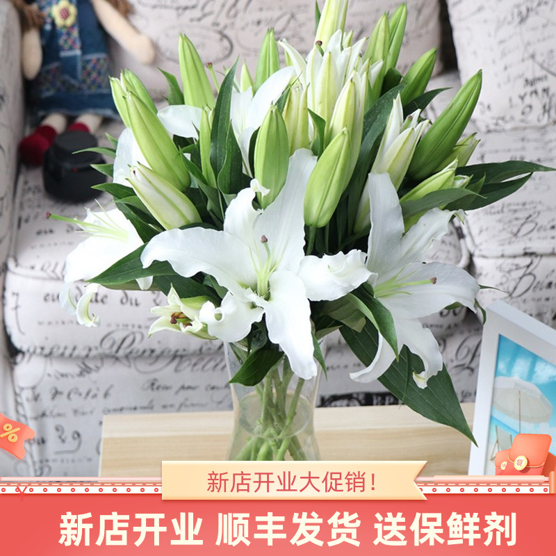 10支双头白百合花鲜花斗南直发云南基地花卉花束客厅摆设花瓶插花
