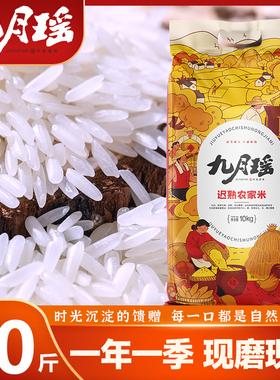 九月瑶迟熟农家米20斤新米长粒香米象牙米猫牙米煲仔饭炒饭专用米