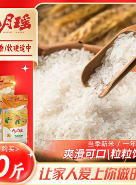 九月瑶黄花粘5kg当季鲜大米10斤正宗软香丝苗米煲仔饭猫牙油粘米