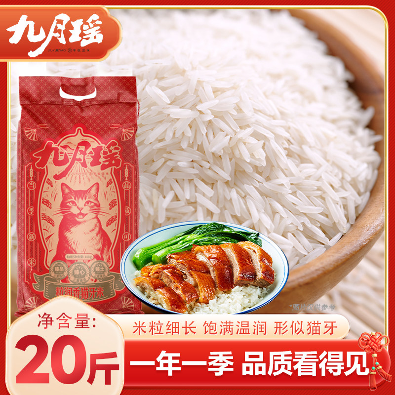 九月瑶粒润香猫牙米20斤长粒米新米象牙香米10kg晚稻细长南方大米