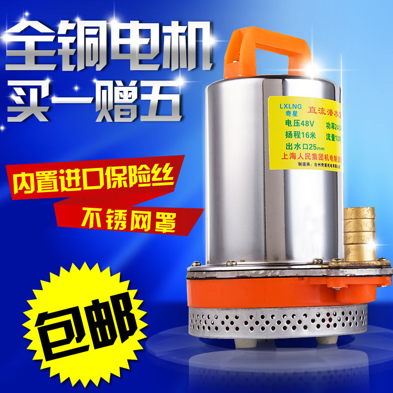 电瓶车抗旱浇灌 农用家用洗车抽水机直流水泵12V24V48V船用潜水泵