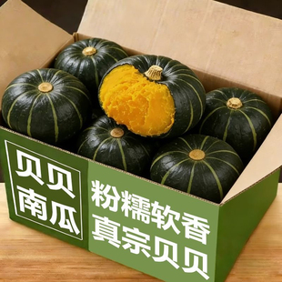 贝贝南瓜正宗板栗味当季小南瓜婴儿辅食农家自种新鲜5斤粉糯老瓜