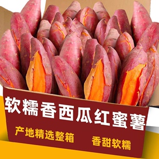 广西西瓜红蜜薯新鲜糖心板栗番薯应当季农家沙地蜜薯地瓜非烟薯
