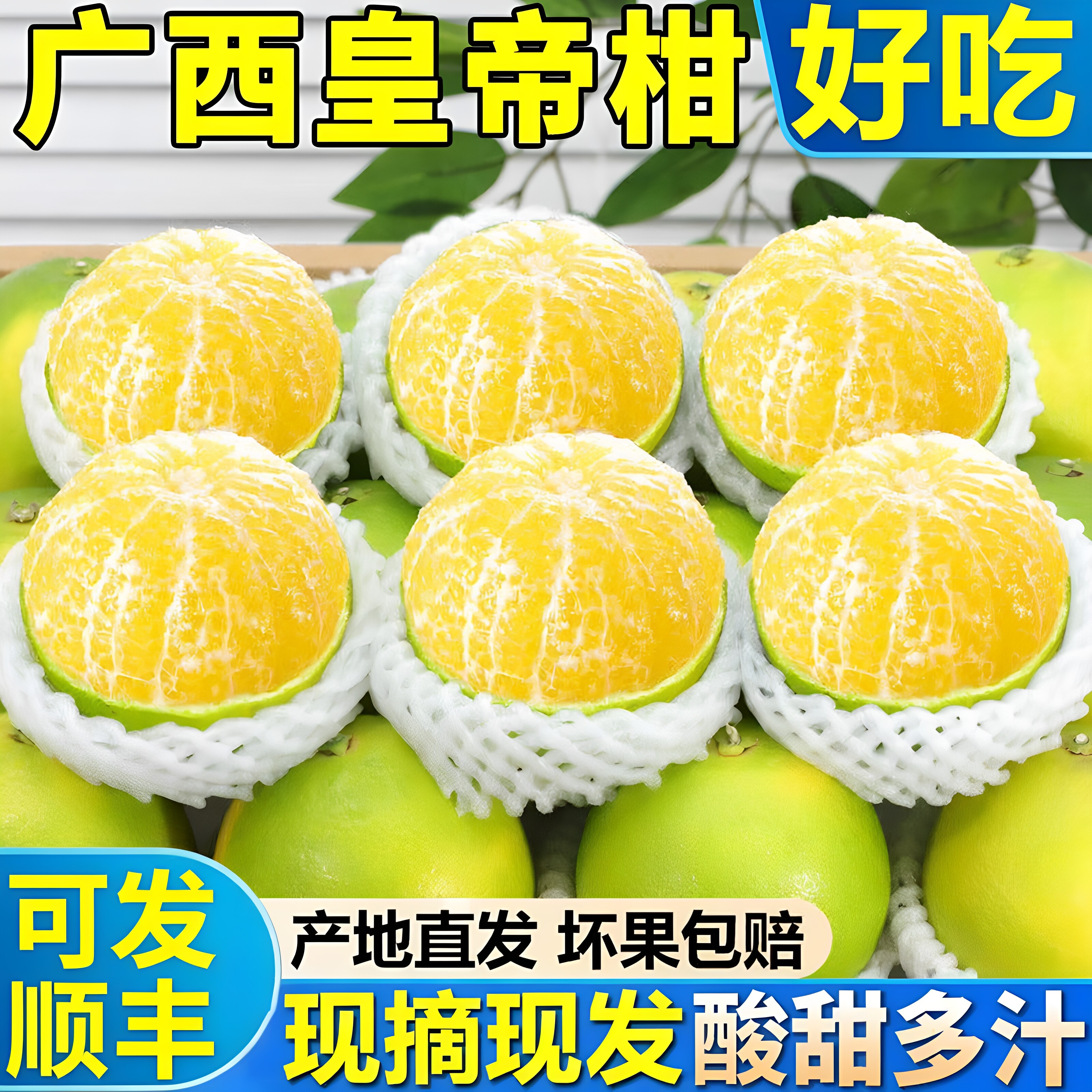 广西皇帝柑9斤装现摘顺丰