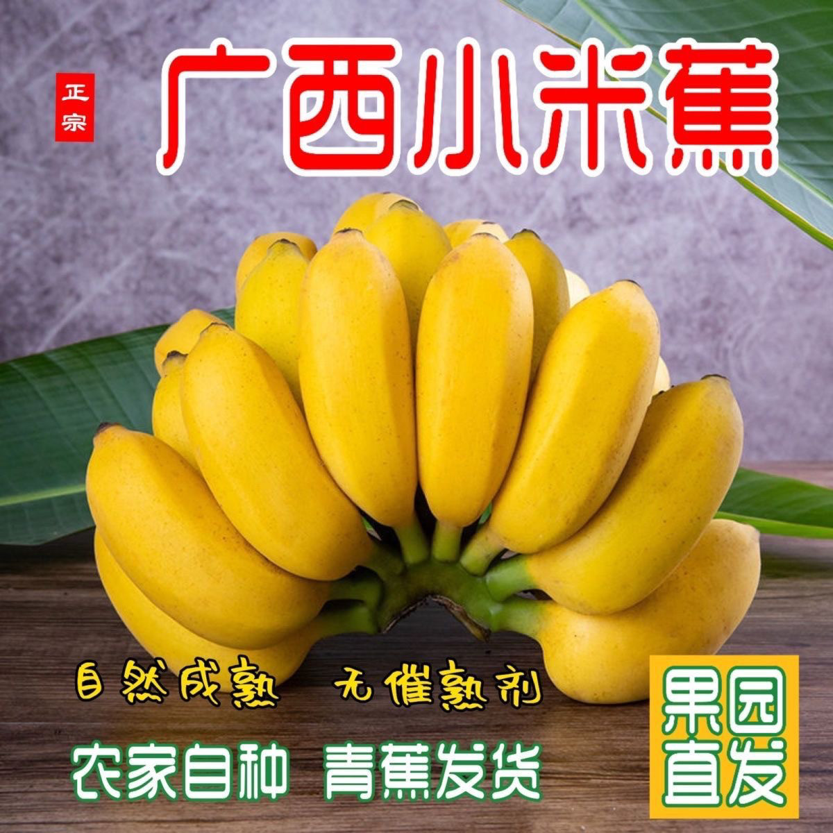 正宗广西小米蕉当季新鲜孕妇水果拇指蕉香蕉软糯酸甜非苹果蕉粉蕉