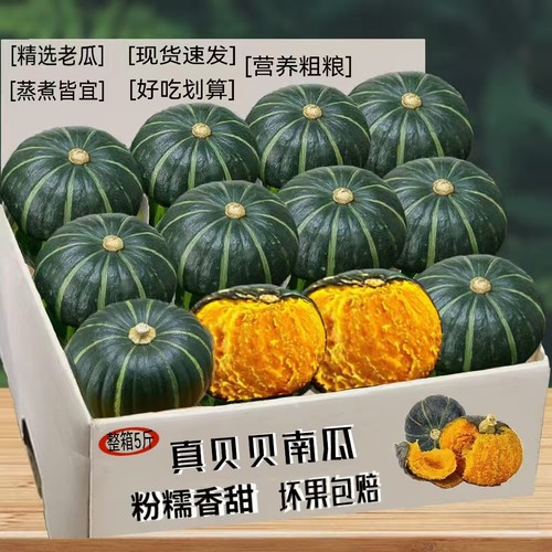 贝贝南瓜正宗板栗味当季小南瓜