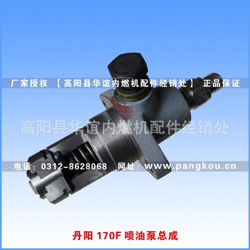 丹阳170F风冷柴油机喷油泵总成,农机/农具/农膜,农机配件,淘宝优惠券,粉丝福利购,淘宝优惠卷