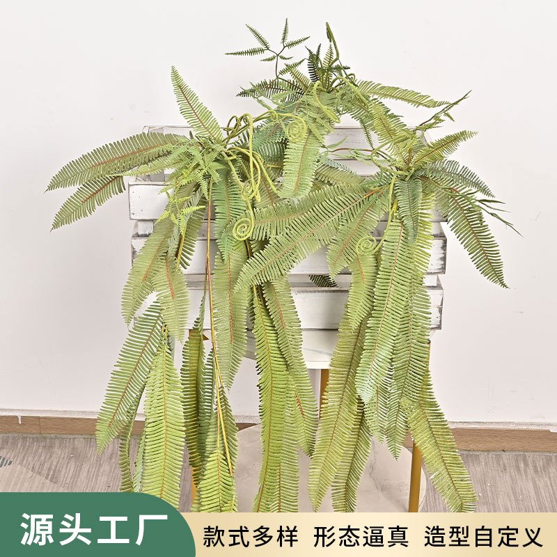 仿真蕨类挂壁假植物波斯顿蕨森系景观室内装饰波斯蕨仿生绿植草