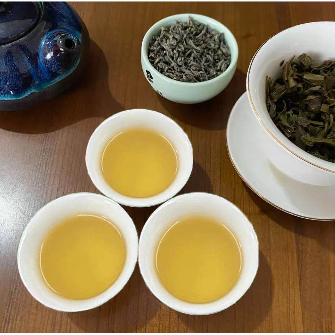 大洋云雾炒茶梅占白露茶明前潮汕工夫茶揭阳特产揭西高山绿茶清香