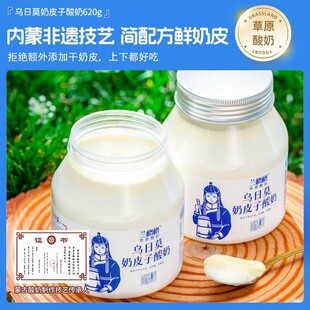 兰格格草原酸奶乌日莫奶皮子酸奶560g大桶装低温酸牛奶顺丰包邮