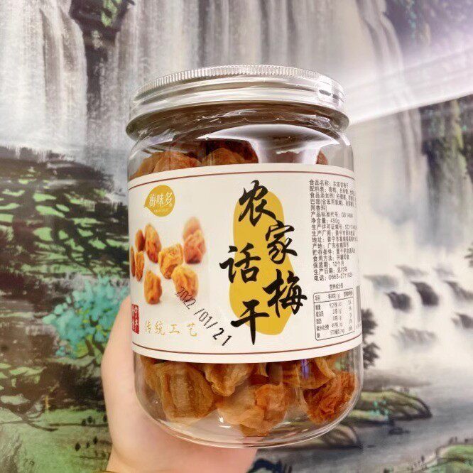 农家话梅干潮汕网红农家自制咸味话梅450g 休闲开胃零食 梅类制品