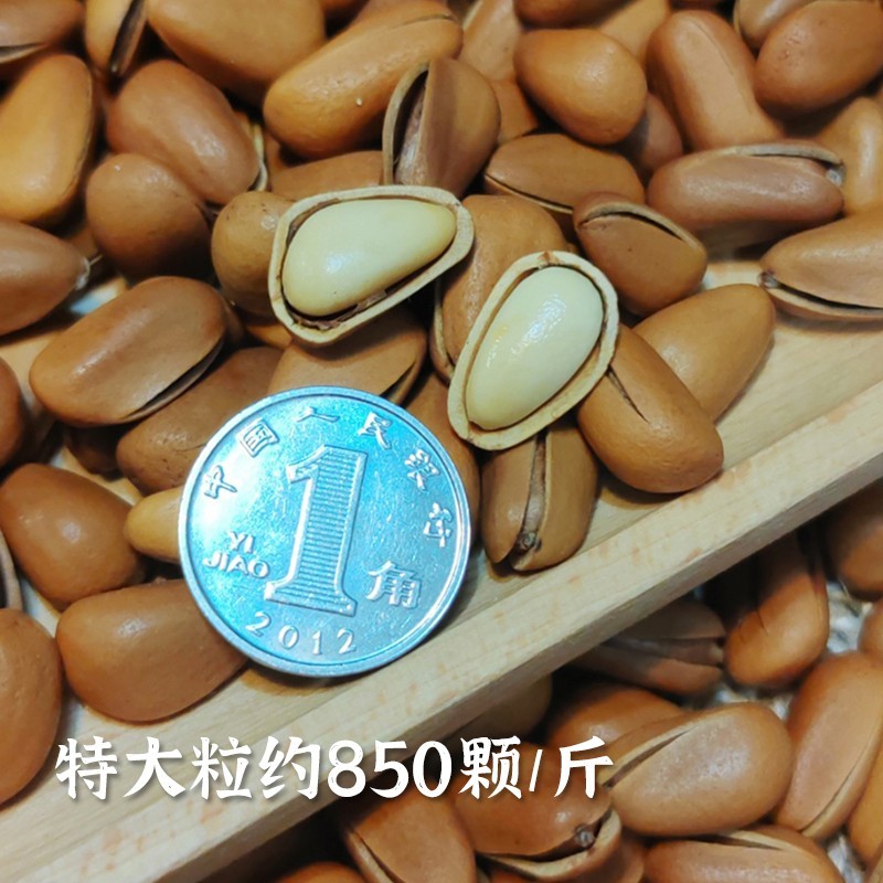 每天水果优选黑龙江东北特产红松子原味手剥开口松子孕妇坚果炒货