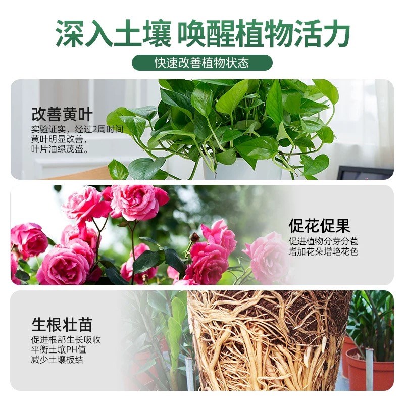 植物营养液通用型室内盆栽绿植绿萝黄叶急救水养水培花卉花肥肥料