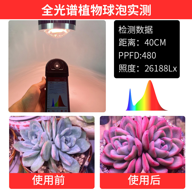 全光谱多肉补光灯球泡家用室内绿植卉上色光照灯生长灯,家装灯饰光源,植物生长灯,淘宝优惠券,粉丝福利购,淘宝优惠卷