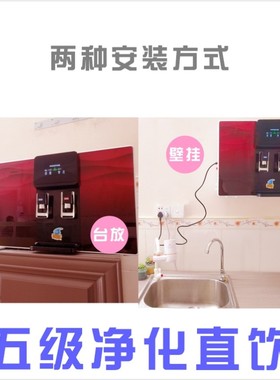 爱妻净水器加热净饮一体机井水自来水前置过o膜芯OG