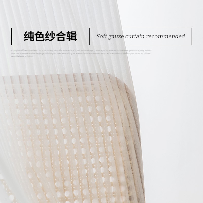 窗纱纱帘透光不透人天丝绒窗帘2021年新款客厅飘窗白纱帘防猫纯色