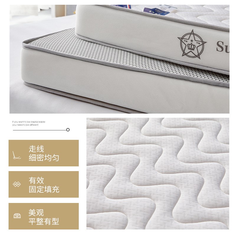 定制海绵垫家用出租屋记忆棉床垫午睡垫榻榻米垫子高密度海绵床垫