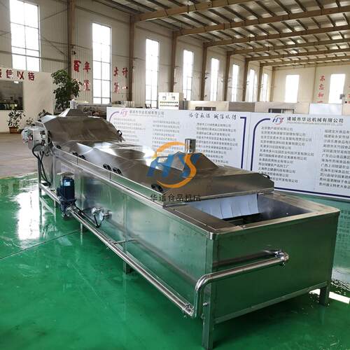 竹笋清洗预煮加工设备 毛笋春笋鼓泡清洗机器 笋丝笋片深加工设备