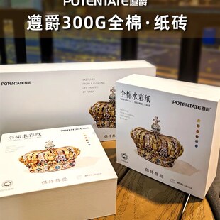 遵爵纸砖 全棉水彩棉浆水彩本300g方形油画棒彩铅纸细纹水彩画纸