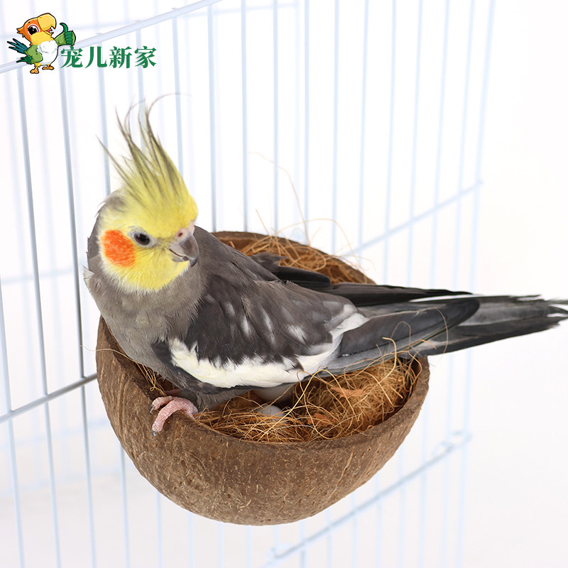 天然椰子壳鸟窝虎皮牡丹鹦鹉专用小窝草窝繁殖箱鸟巢鸟屋睡觉床,宠物/宠物食品及用品,鸟窝,淘宝优惠券,粉丝福利购,淘宝优惠卷