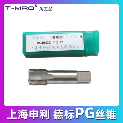 德标丝锥80度管螺纹申利丝攻PG7 9 11 13.5 16 21 29 36 42 48
