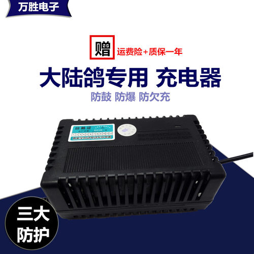 大陆鸽适用 电动车电瓶车充电器36V48V12Ah48V20Ah60V72V20AH