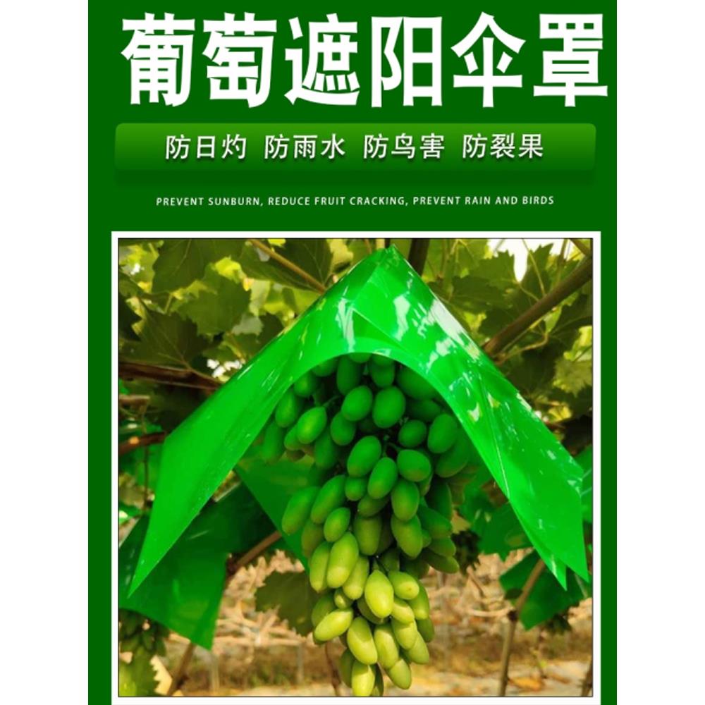 葡萄伞罩阳光玫瑰葡萄套袋专用袋防晒伞罩伞帽防日灼防裂果遮阳罩