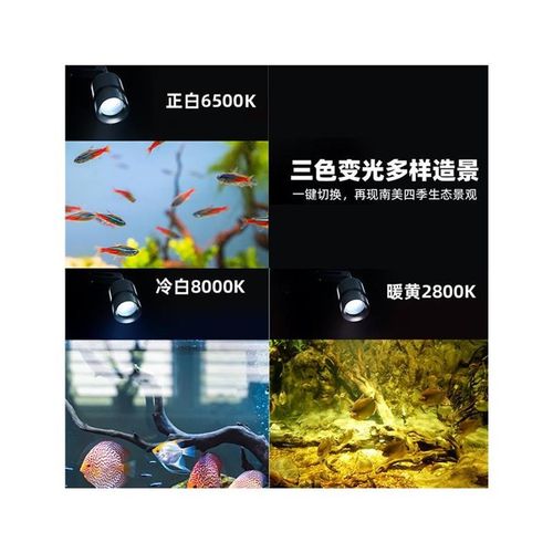 智能南美鱼缸射灯led夹灯调光变焦水草灯手机定时照明观赏小射灯