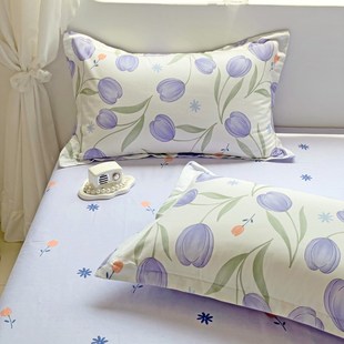 卡通枕套一对装 家用48cmx74cm纯棉全棉北欧大号单人枕头套枕头皮