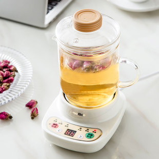 电热杯子养生烧水煮汤电炖锅便携式分体底座宿舍电煮玻璃壶热牛奶